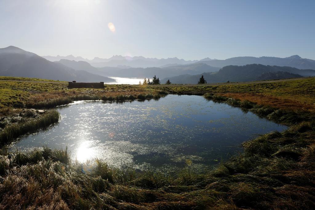 Hubertus Mountain Refugio Allgaeu Balderschwang Exterior foto